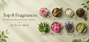 Top 8 Fragrances in Dhoop Sticks for Every Mood